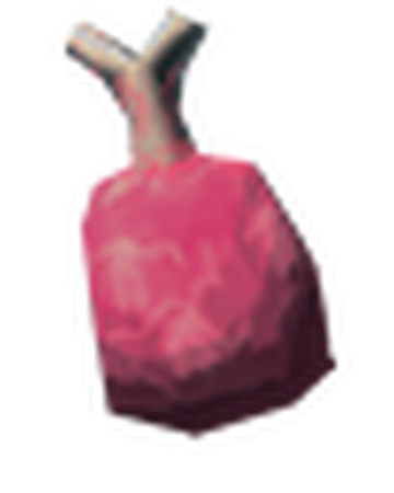 Lox Meat Valheim Wiki Fandom