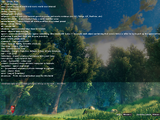 Developer console