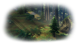 Biome blackforest