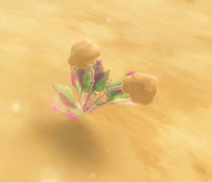 МорошкаHeim.png (132 КБ) Куст морошки на равнинах