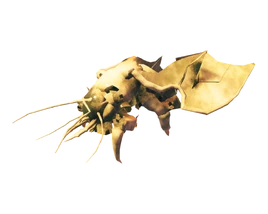 Выводок искателя