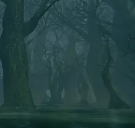 Прадавнє дерево