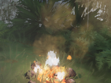 Campfire