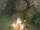 Campfire
