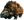 Бикоящур