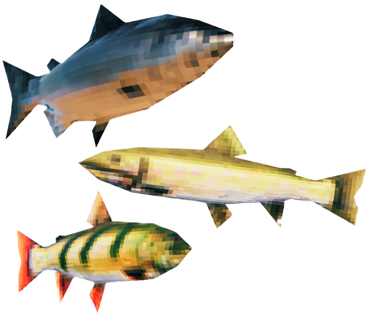 list of fish