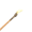 Вовчий спис