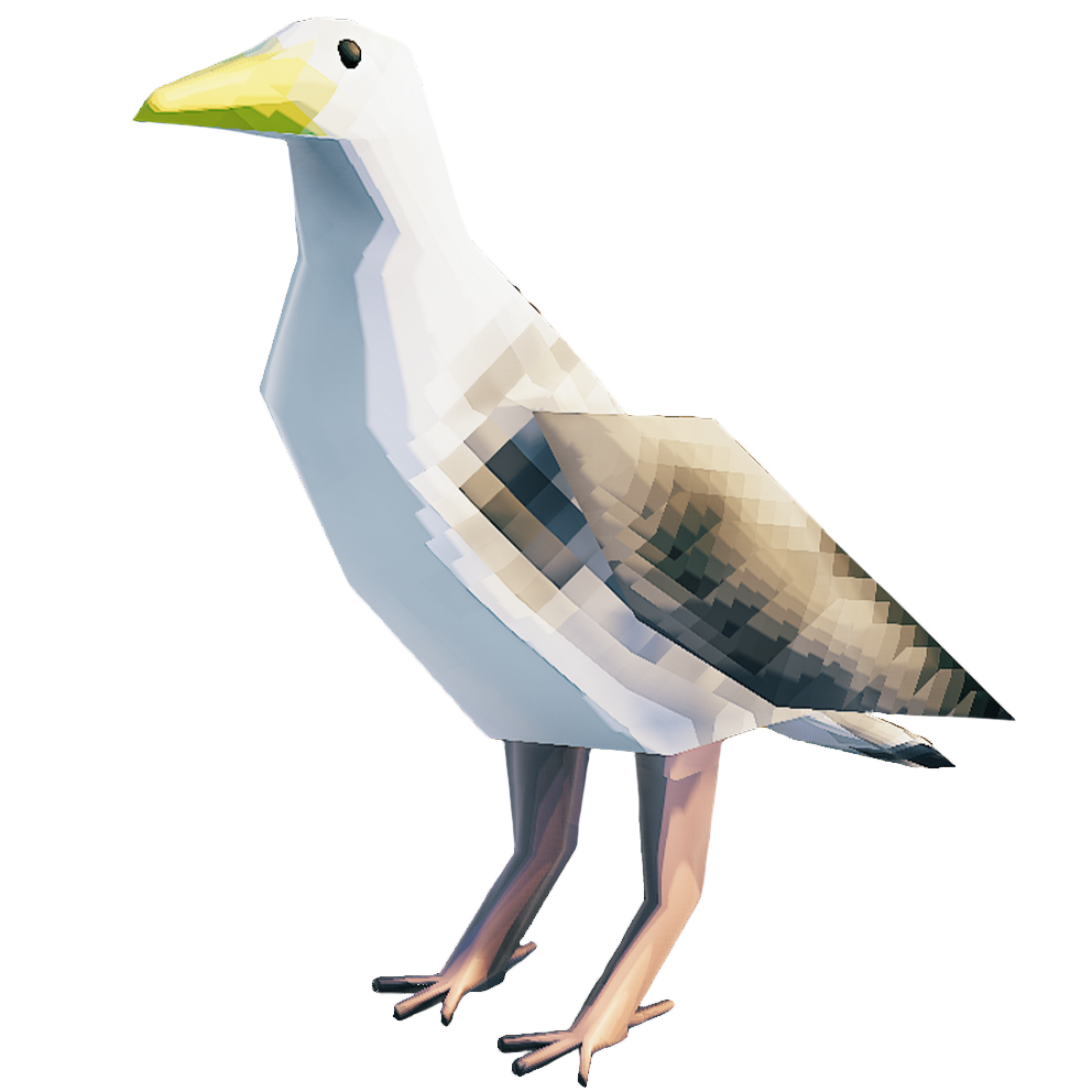 Gaviota