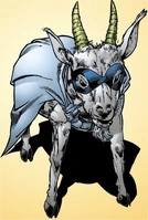 Vincent HAEDUS.jpg (61 KB)