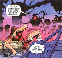 Malev Empire Magnus-Robot-Fighter-v1-21 001.jpg (128 KB)