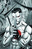 Kowabunga Comics Exclusive Virgin Cover by Tim Seeley (150 copies)