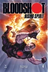 Bloodshot Rising Spirit #4 (February, 2019)