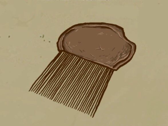 Lice Comb Valiant Hearts Wiki Fandom