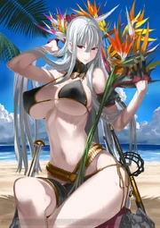 VCD Selvaria Artwork5