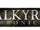 Valkyria Chronicles (video game)