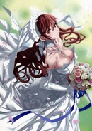 VCD Visual Book Artist: Raita Honjou