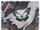 Mottled Vagabond Butterfly