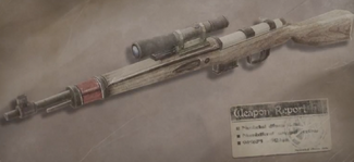 ZM SG 1(e).png
