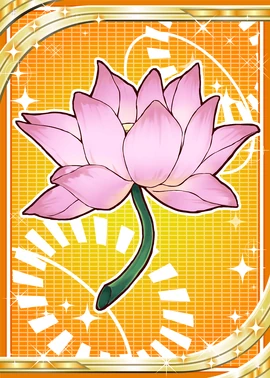 Lotus Flower