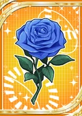 Rose Of Gratitude