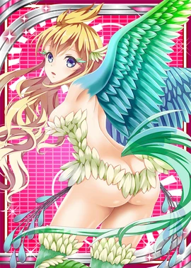 Bird-of-Paradise 3