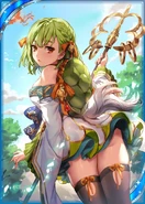 Tortoise Kiyo.png (249 KB)