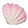 White-Wave Seashell