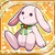 Bunny Costume icon