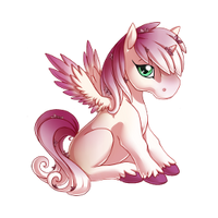 Blushing Blossoms Alicorn Baby.png