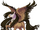 Griffon Vulture Alicorn