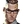 Chamber icon.png