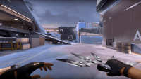 Inspect