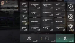 Das Kaufmenü im Spiel, hier mit 's Loadout.