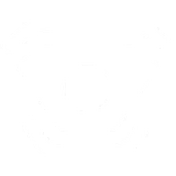 valorant wiki fandom