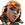 Raze icon.png