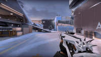 Inspect