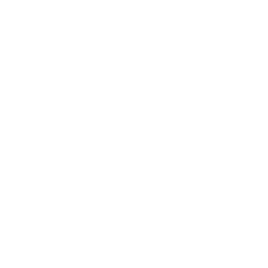 Bot Match