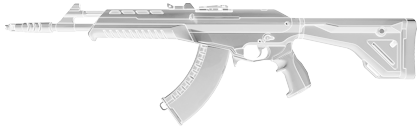 Vandal Assault Rifle 