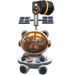 Astro Bear
