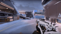 Gunfire