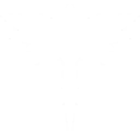 Polarstern Skye Fähigkeit Valorant