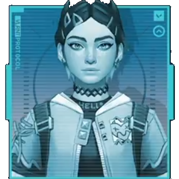 Team Member 4