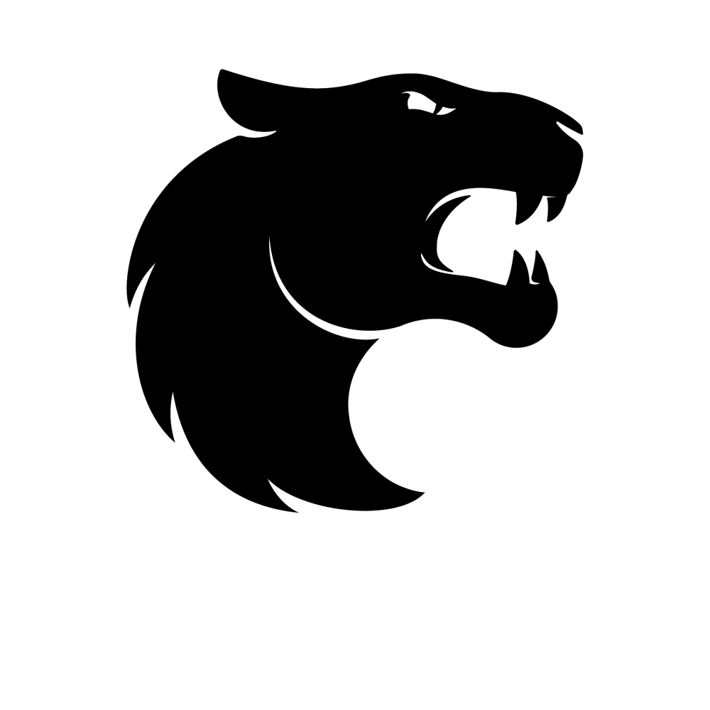 Furia Esports wallpaper created by Furia