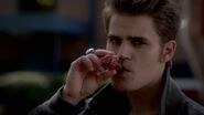 Stefan bebe o sangue de Bonnie