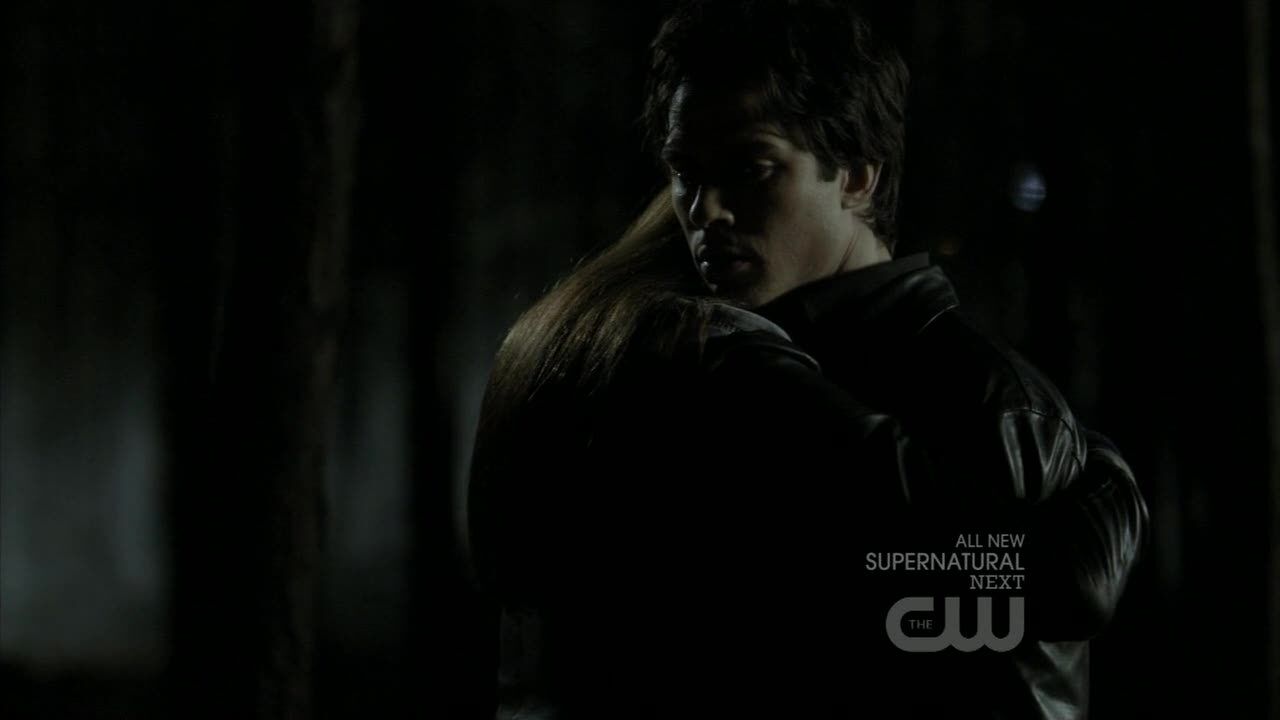 Elena e Damon, Wiki Vampire Diaries