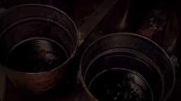DoppleBlood2.png