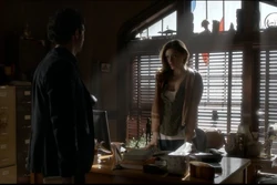 Shane se encontra com Hayley em seu escritório.