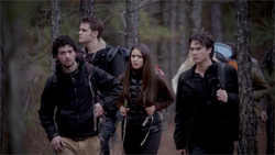 The Vampire Diaries - a temporada da cura