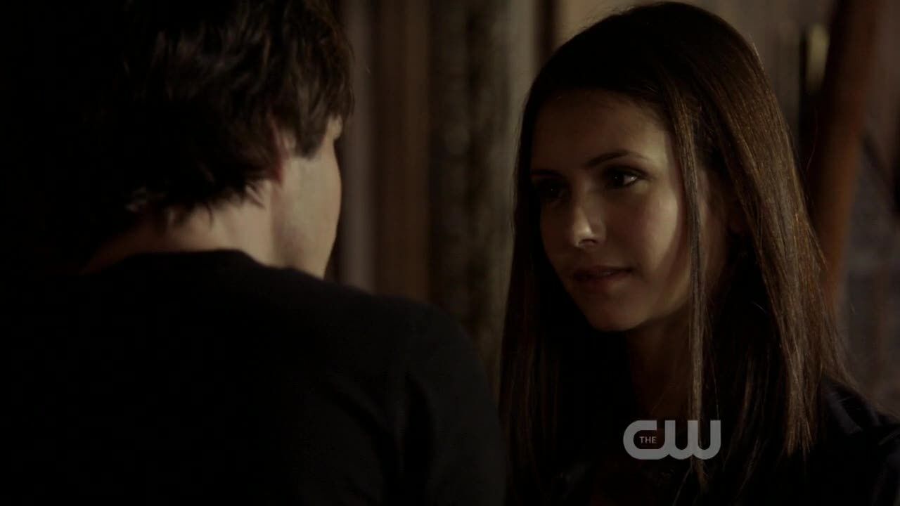 Elena e Damon, Wiki Vampire Diaries