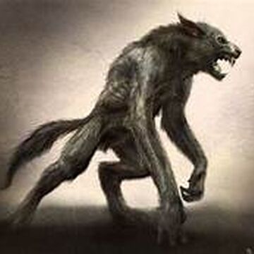 Loup Garou Originel Wiki Vampire Legends Fandom